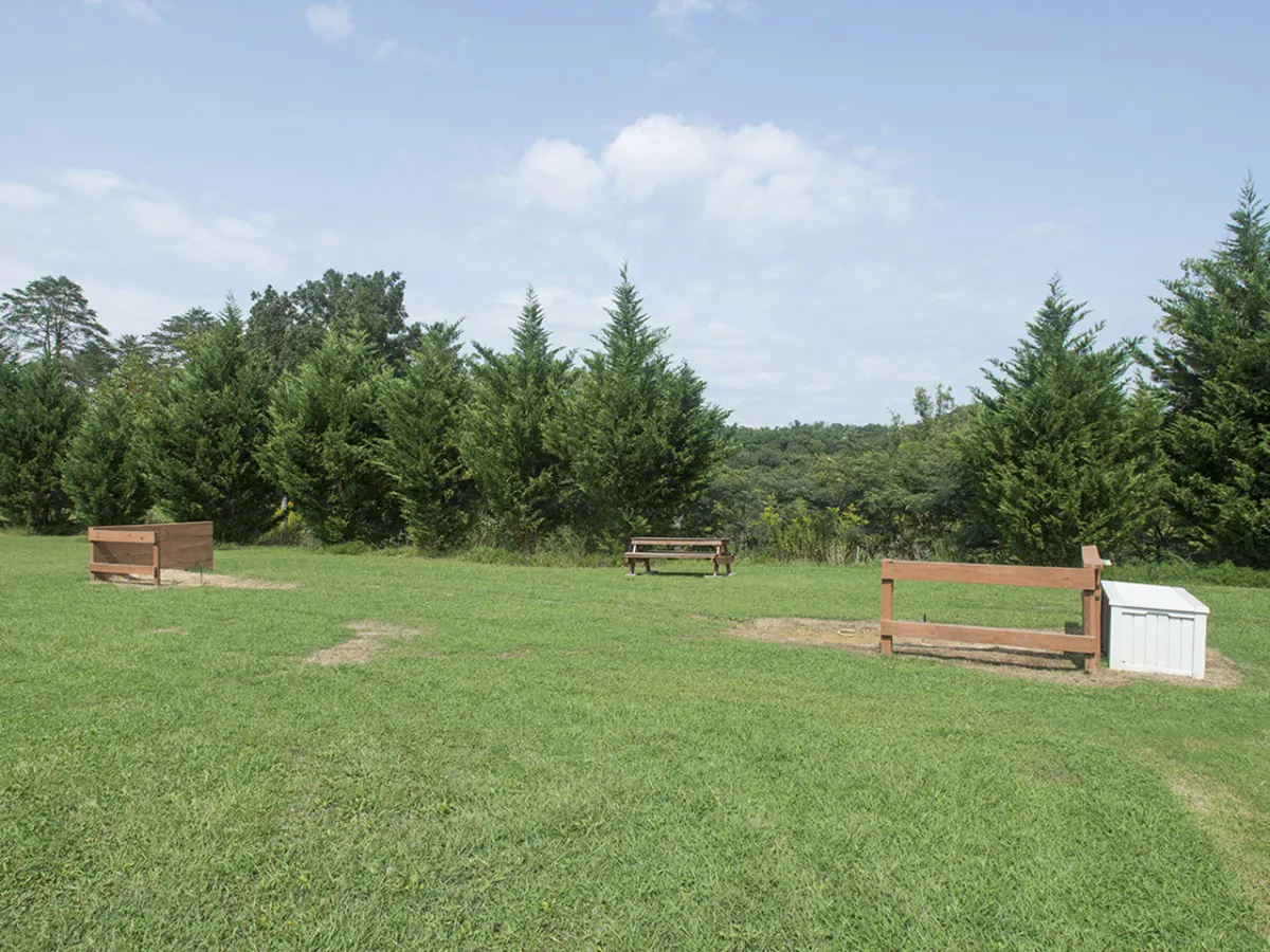 A peaceful outdoor area featuring benches amidst lush greenery and an open field. The setting is ideal for picnics, casual gatherings, and enjoying the fresh air—activities mentioned as part of Bear Haven's multi-generational appeal.