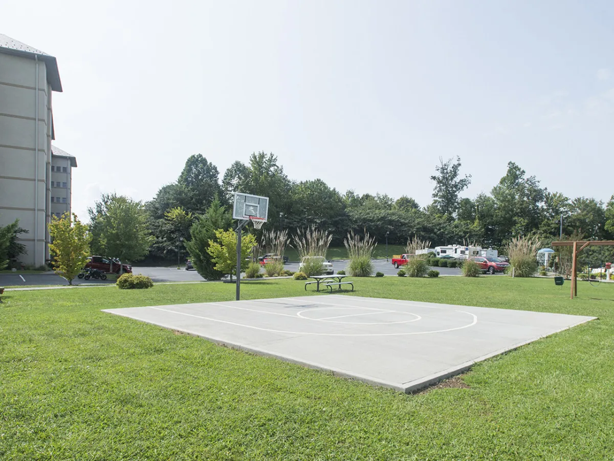 An outdoor basketball court with a clear hoop, green grass, and park benches, set under open skies. The area looks inviting for games, picnics, and informal gatherings, emphasizing community and active recreation.